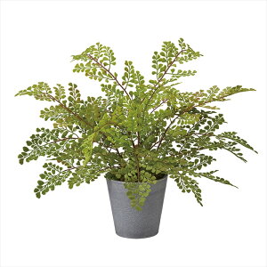 yA[eBtBVt[@ԁ@CeAO[@ϗt؁z@AWA^|bg@GREEN fz001491-zzz ϗt؁yz