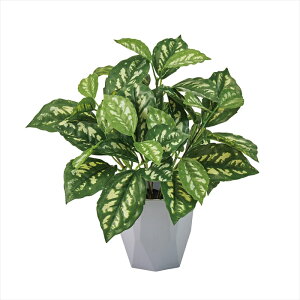 yA[eBtBVt[@ԁ@CeAO[@ϗt؁z@sAJfBGC~j|bg@GREEN fz009198-zzz ϗt؁yz