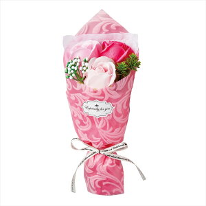 yAWgiLbgEZbg܂ށj@̑z@GKg~ju[P@sN gkgm4822-zzz \[vt[yz