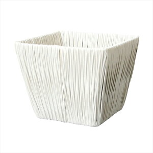 yԊ@x[X@C[fށz@zCgVtv^[XNGAD5@ kn023925-zzz oXPbgyz