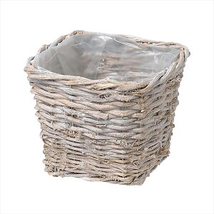 yԊ@x[X@i`fށz@uXNGAx[XS@ kn033213-zzz oXPbg@yz