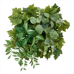 yAWgiLbgEZbg܂ށj@A[eBtBVt[@ԁz@O[EH[RS@ za003031-zzz MtgAWyz