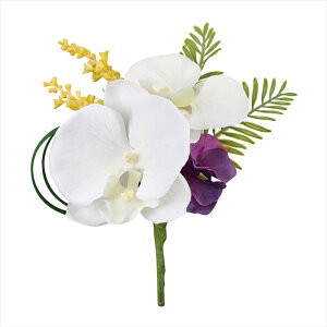 yAWgiLbgEZbg܂ށj@A[eBtBVt[@ԁz@CmZgt@moh@ za005474-zzz t[lAW@ԁyz