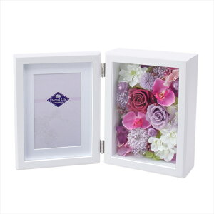 yAWgiLbgEZbg܂ށj@vU[uht[z@؊zi͂Ȃj@ zy005300-zzz t[lAW@ԁyz