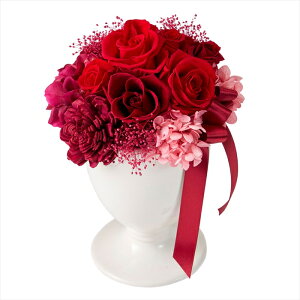 yAWgiLbgEZbg܂ށj@vU[uht[z@G}@3@@bh zy006328-003 MtgAWyz