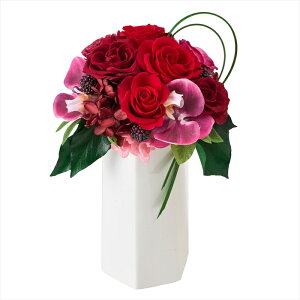 yAWgiLbgEZbg܂ށj@vU[uht[z@{k[@ zy006337-zzz MtgAWyz