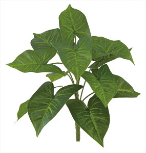 �J���W���[���u�b�V���@ �@viva-veg-5615���ԁ@�A�[�e�B�t�B�V�����O���[���yviva�z