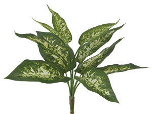 fBtFoLAubV@ @viva-veg-5617ԁ@A[eBtBVO[yvivaz