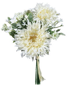 K[xMIXoh@WHCR @viva-vt-2154-whcrԁ@A[eBtBVt[yvivaz