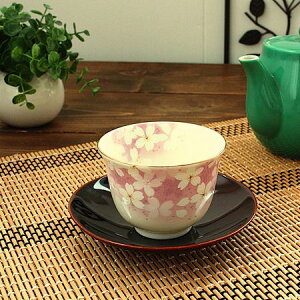 (ŏI݌)@TN(aH   Jbv  Ɩp ƖpH AEgbg Z {)