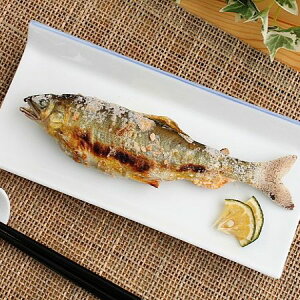  ƍׂ߂̒pM(aH H B M v[g pM Ɩp ƖpH AEgbg  Z {)