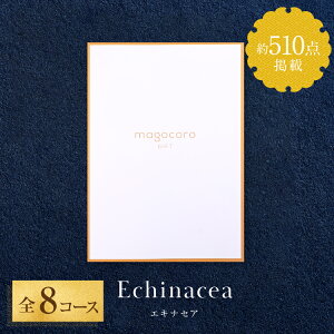 ylC̃J^OMtgzJ^O Mtg magocoro j Ε  j  A j Ԃ TԂ oYj v[g MtgJ^O 蕨 i O   