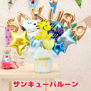 gݍ킹 6 Xk[s[ EbhXgbN o[ Iׂ o[d  a \ oYj JXj Nj Əj  wj jd o[Mtg peanuts snoopy woodst