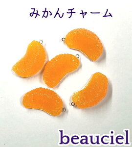 y2z AȂ݂̃`[ q[gH@p[c@HiTv@݂̃ANZT[@ʋl݂̂