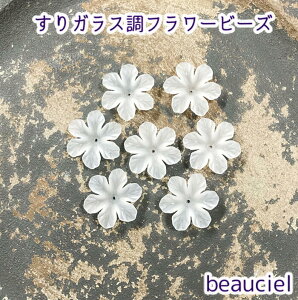 y20pcsz6Ԃт KX t[r[Y zCg@}bg@