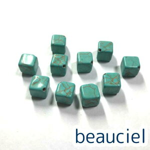 y10mm 10zL[u^ ^[RCYr[Y@ђʁ@gR