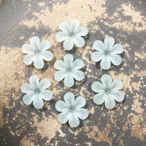 y20pcsz6Ԃт KX t[r[Y u[O[@}bg@