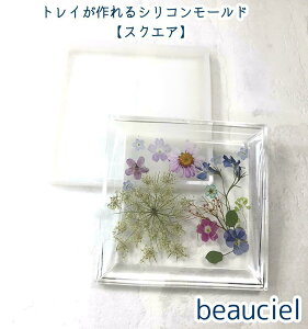 y1zgCVR[h@XNGA@R[X^[@M