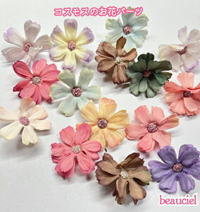 y45mm@5zRXX̉  CA\[g tFCN A[eBtBVt[