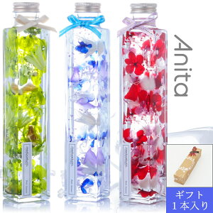 n[oE Mtg{bNXbsO1{ ̓ a Mtg v[g O{g lpr S3FIׂ鑡蕨ɍœK