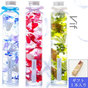 n[oE Mtg{bNXbsO1{ ̓ a Mtg v[g O{g ەr S3FIׂ鑡蕨ɍœK