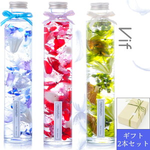 n[oE Mtg{bNXbsO2{Zbg ̓ a Mtg v[g O{g ەr S3FIׂ鑡蕨ɍœK