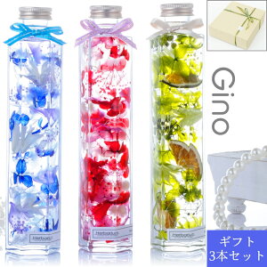 n[oE Mtg{bNXbsO3{Zbg ̓ a Mtg v[g O{g Zpr S3FIׂ鑡蕨ɍœK