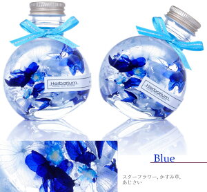 n[oE RƉ ˂r S6F(sN IW    ) / ەr a v[g Mtg  vU[uht[gp  w j Vzj JƏj JXj 