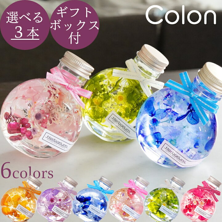 楽天市場】プレゼント ハーバリウム 豪華3本セット コロンと可愛い  