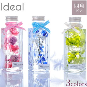 TCỸn[oE lpr S3F(  sN)/̓ av[g ~jTCY Mtg j vU[uht[gp NX}X v`Mtg