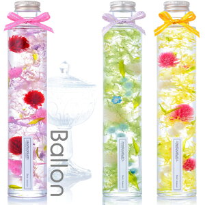 g n[oE O{g ەr S3F / ̓Mtg v[g j a      ӂӂ핂