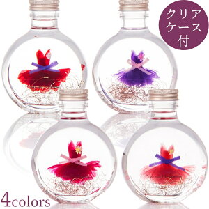 J[l[V n[oE ``hX S4F / ̓ oG v[g Mtg Igi[i eq[i   vU[uht[ a AW 蕨  JX sA