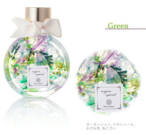 n[oE OWA[L[g S5F / ̓ J[l[V  v[g Mtg   vU[uht[ a AW 蕨  JX \ oY L