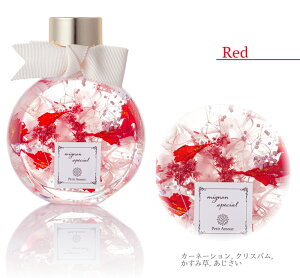 n[oE OWA[L[g S5F / ̓ J[l[V  v[g Mtg   vU[uht[ a AW 蕨  JX \ oY L