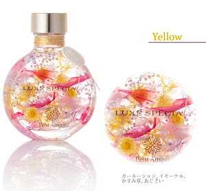 n[oE OWA[X^CbV S5F / ̓ J[l[V  v[g Mtg   vU[uht[ a AW 蕨  JX \ oY 