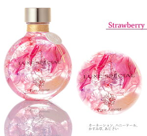 n[oE OWA[X^CbV S5F / ̓ J[l[V  v[g Mtg   vU[uht[ a AW 蕨  JX \ oY 