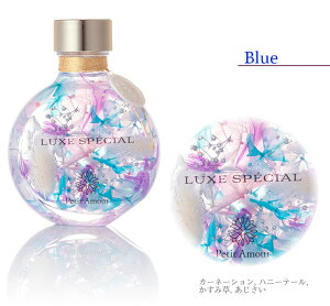 n[oE OWA[X^CbV S5F / ̓ J[l[V  v[g Mtg   vU[uht[ a AW 蕨  JX \ oY 