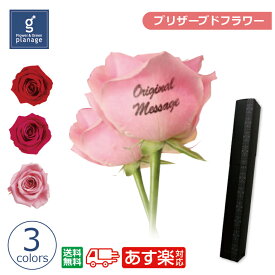 楽天市場 バラ メッセージ プリントの通販