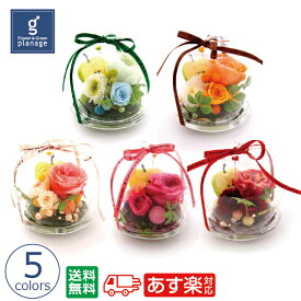 楽天市場 白雪姫 プリザーブドフラワー 花 観葉植物 花 ガーデン Diyの通販
