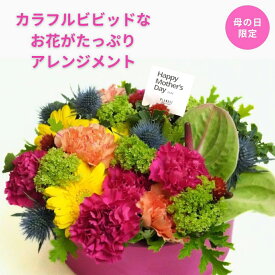 母の日フラワーBIGMAMAアレンジ　ナチュラル生花 アレンジメント ギフト 贈り物 プレゼント 誕生日 フラワー 花 引越し祝 結婚記念日 歓迎 退職 母の日 カラフル マザーズデイ 季節のお花 ママ　ギフト　花