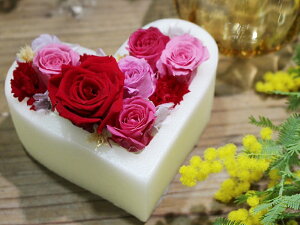 vU[uht[ tn[g@n[g@Mtg@vU@vU[ht[@~j @a LO v[g@̓@o@J[l[V@uU@ԁ@ʁ@Ɓ@@N