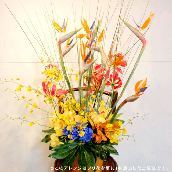 楽天市場 花びらにメッセージ 想いが伝わるプリ花付きアレンジllサイズ 誕生日 記念日 結婚祝い 出産祝い 楽屋花 講演会 お見舞い お供え 開店祝い 引越祝い 母の日 プリ花 アレンジメント Flowershop Planage プラナージュ