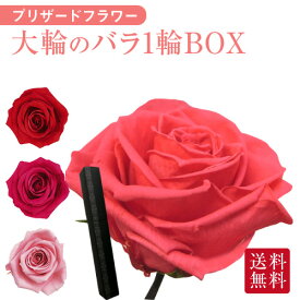 楽天市場 バラ 花びらの通販