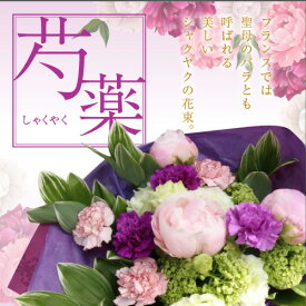 楽天市場 芍薬 花束の通販