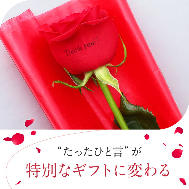 楽天市場 送料無料 1本勝負 バラ1輪box 選べる4色 ギフト 花 生花 花びらメッセージ無料 誕生日 彼女 プレゼント 記念日 結婚 送別 告白 プロポーズ ギフト 名入れ 薔薇 母の日 マザーズデイ 花 フラワー プレゼント 激安 送別 歓迎 卒業 入学 プリ花 あす楽