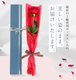 【クール便送料無料】バラ1輪BOX メッセージプリント　ギフト 花 生花 誕生日 プレゼント 記念日 結婚 送別 告白 プロポーズ ギフト 名入れ 薔薇 クリスマス 花 プレゼント 激安 1本 花 ギフト　いい夫婦の日
