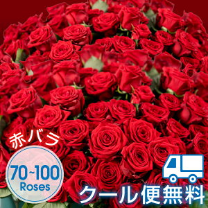 プリ花の通販 価格比較 価格 Com プリ花の通販 価格比較 価格 Com