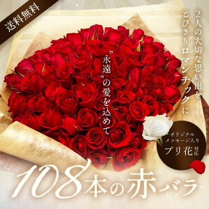 ԃo108{@ԃo107{ƃvԂŃv|[YfGɉo@ỏԑ@ԂɃIWibZ[WYăTvCYv[gB@v|[Y@@a@Əj@o^