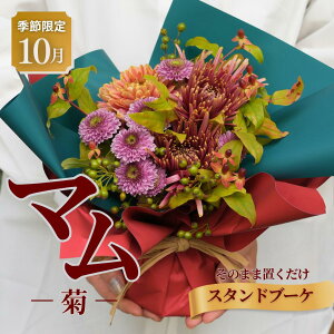 Gߌ@X^fBOu[P ԕr炪Ȃu[P ԑ@ԁ@a @v[g j LO Mtg AW@t[Mtg @X^hu[P@ԕrȂ@@