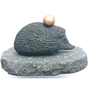 nlY~Ƌ̃S sVKCgt [/VKCg/dg/`N/u/VA/VKCg/tBMA]